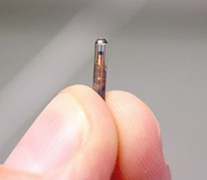 Microchip RFID para PET